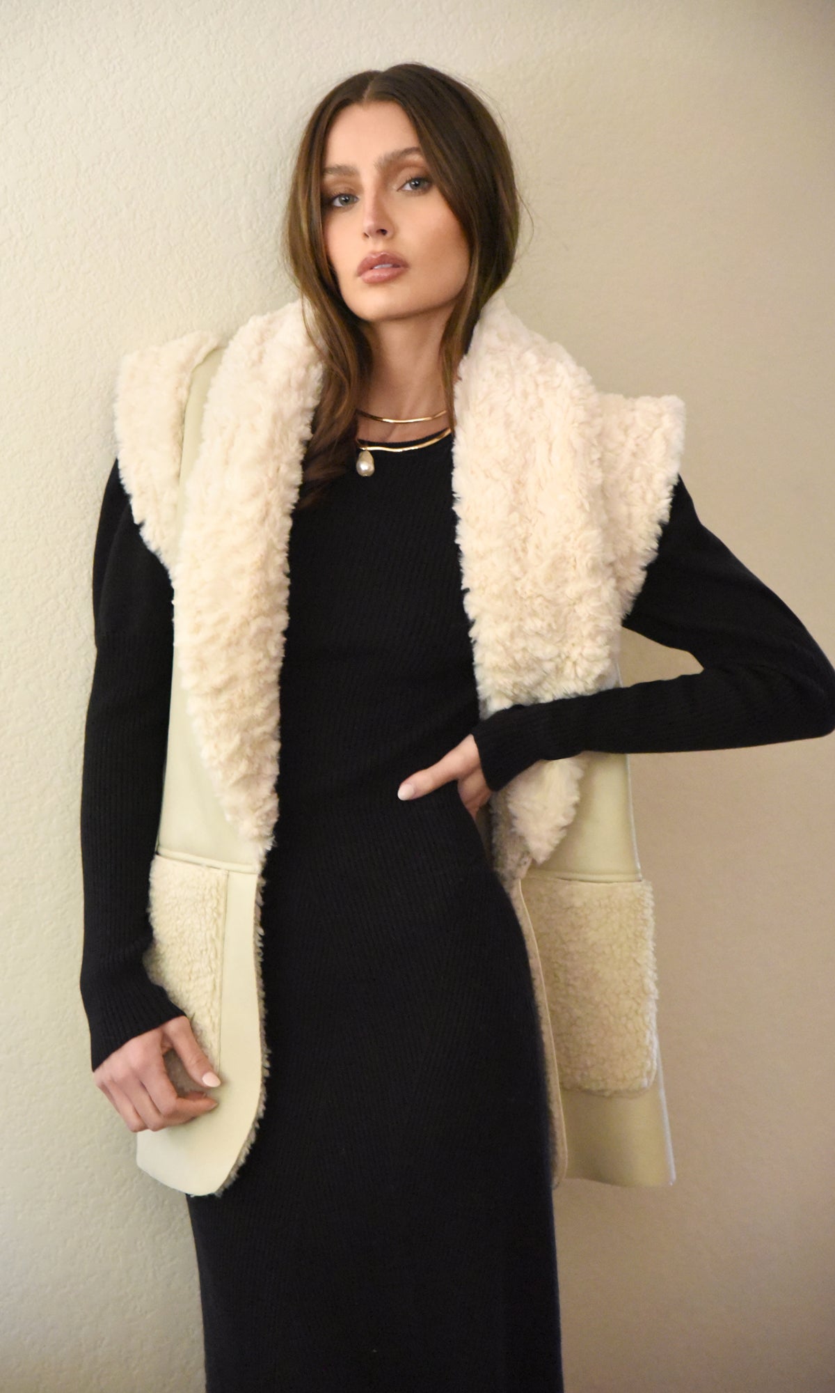 RILEY FAUX FUR LEATHER VEST