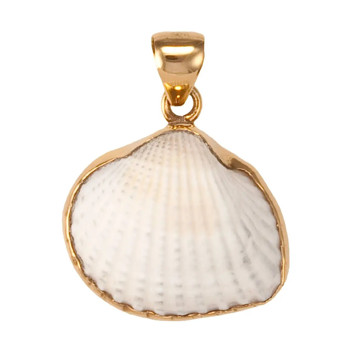 ARK SHELL PENDANT